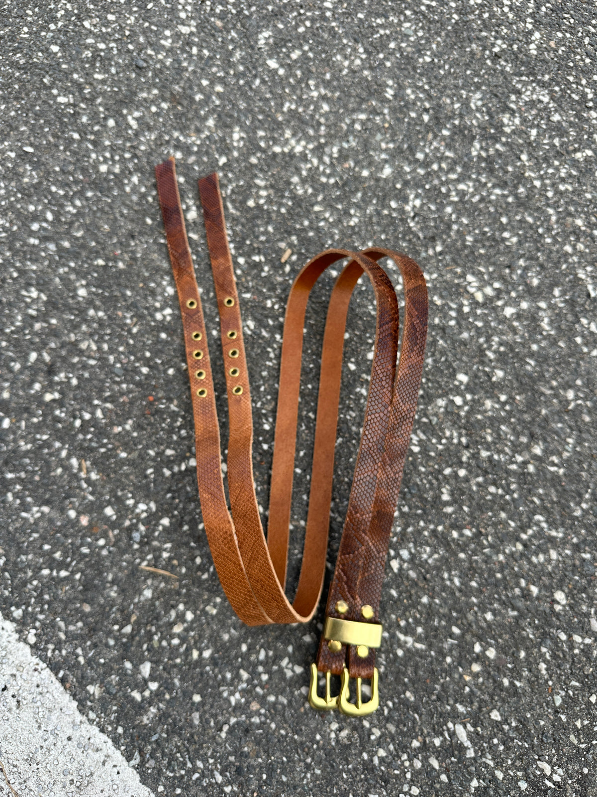 Double headed snake belt
